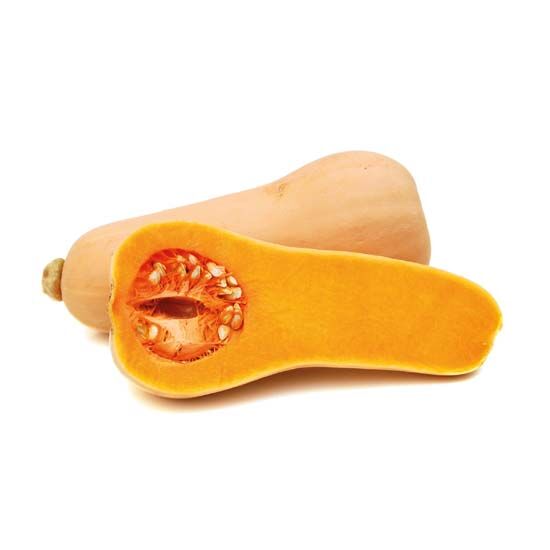 Tikva Butternut